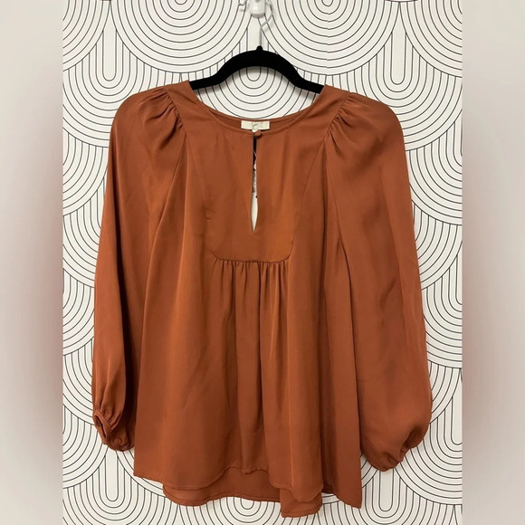 Joie Silk Blouse Burnt Terracotta V-Neck Blouse XS NWT - Picture 6 of 8
